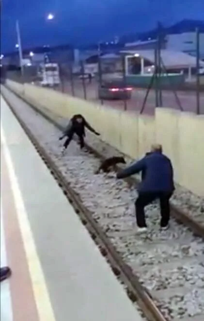 Metroda Köpek Kurtarma Operasyonu