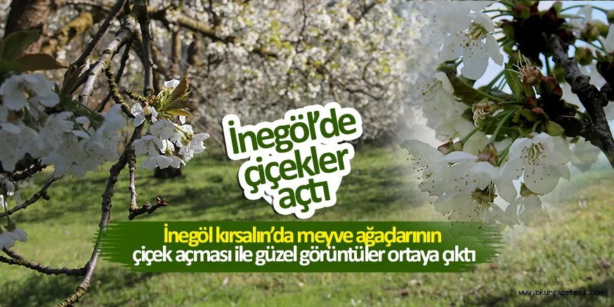 MEYVE AĞAÇLARININ ÇİÇEK AÇMASI İLE İNEGÖL CENNETE BENZEDİ