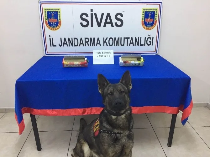 Meyve Suyu Kutuları İçerisinde Esrar Yakalandı