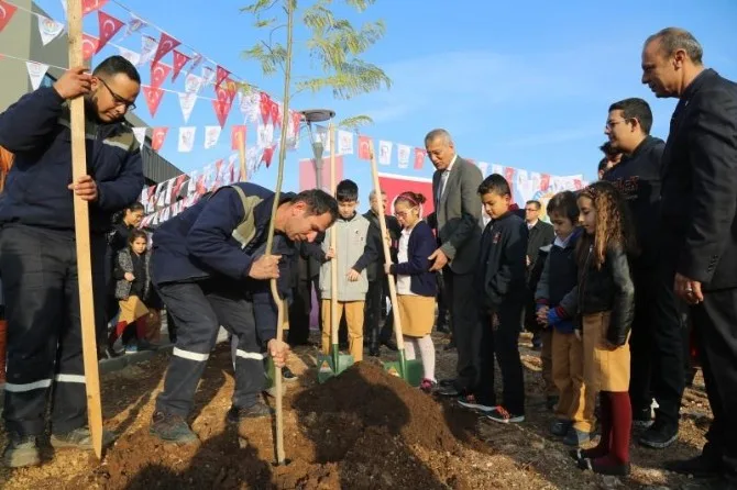 Mezitlide 27. Jakaranda Koruluğu Oluşturuldu