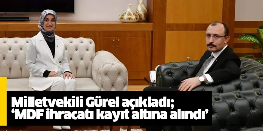 Milletvekili Gürel açıkladı; ‘MDF ihracatı kayıt altına alındı’