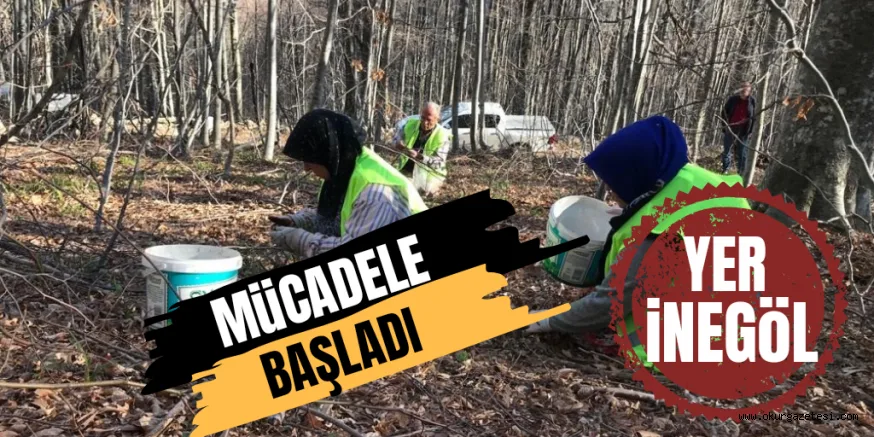 MÜCADELE BAŞLADI