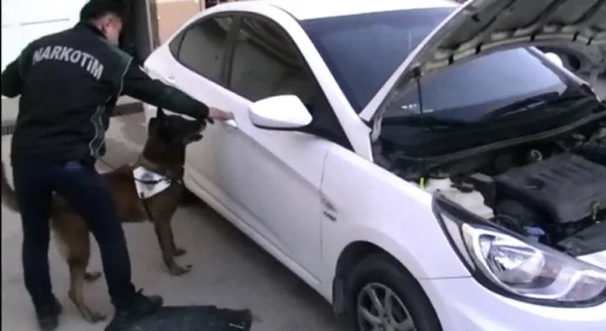 Narkotik Köpeği Alfa Uyuşturucuyu İşte Böyle Buldu