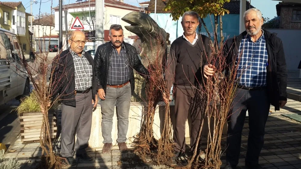 Nilüfer Belediyesinden Çiftçiye Meyve Fidanı