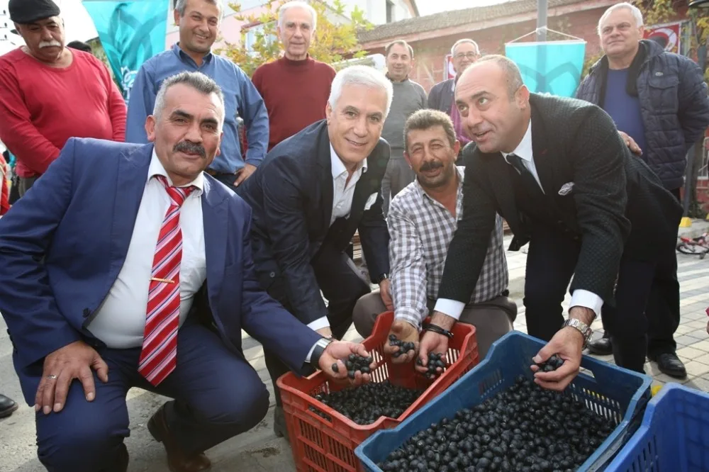 Nilüferde “Zeytin Buluşması”