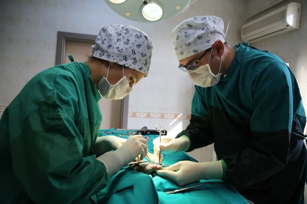 Nilüferden Can Dostlarına Beş Yıldızlı Sağlık Hizmeti