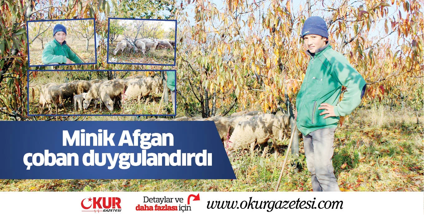Minik Afgan çoban duygulandırdı