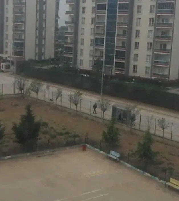 Okulda İki Eğitimciyi Vuran Polis, Bir Ay Önce De Okulu Basmış
