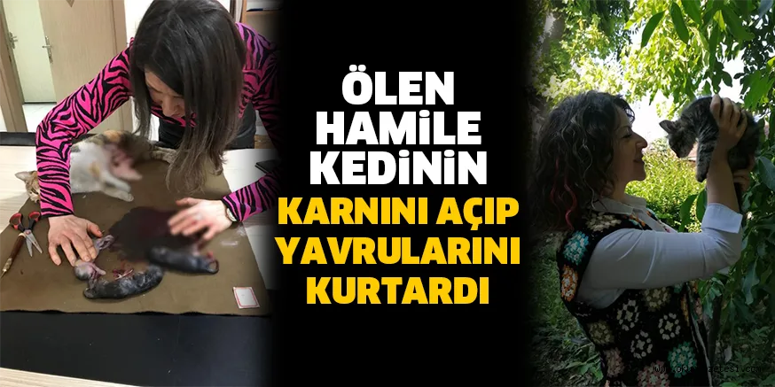 öLEN HAMiLE KEDiNiN KARNINI AÇIP YAVRULARINI KURTARDI