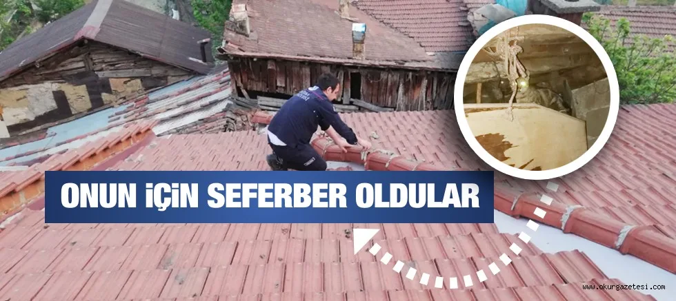 ONUN İÇİN SEFERBER OLDULAR