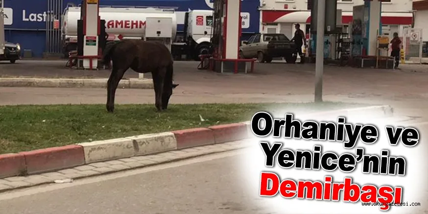 Orhaniye ve Yenice’nin demirbaşı