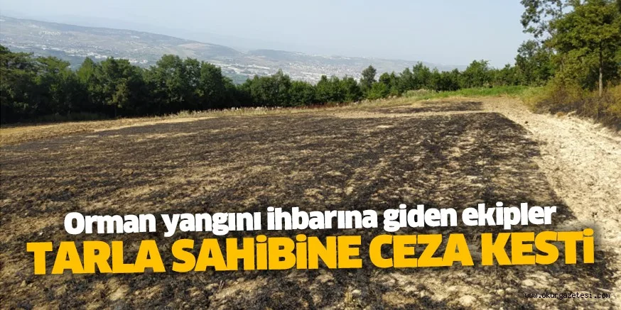 Orman yangını ihbarına giden ekipler, tarla sahibine ceza kesti