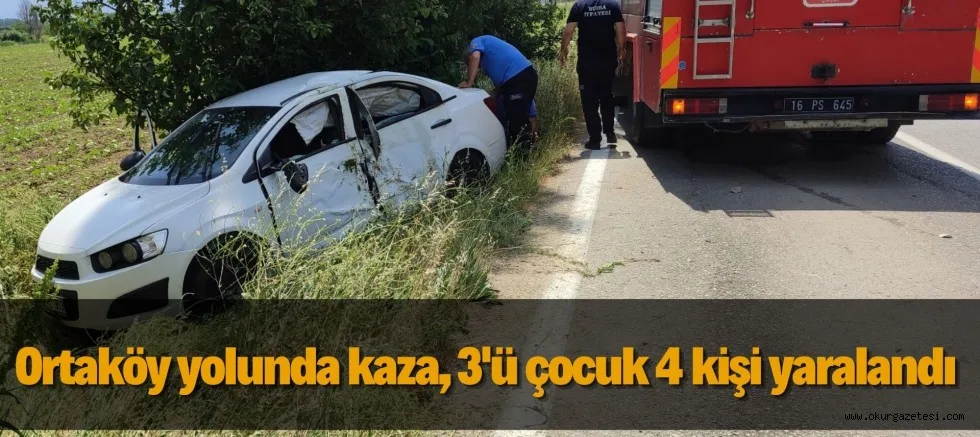 Ortaköy yolunda kaza, 3'ü çocuk 4 kişi yaralandı