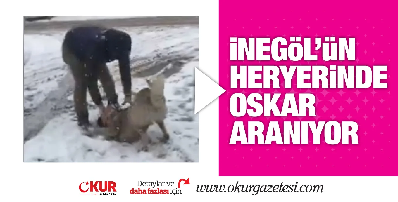 OSKAR ARANIYOR!