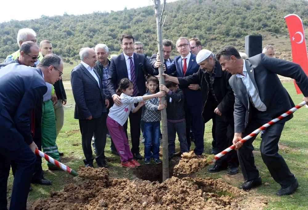 Osmangaziden 1 Milyon Fidan