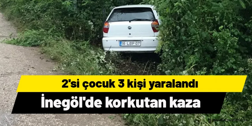 Otomobil ağaçlık alana daldı; 2'si çocuk 3 yaralı