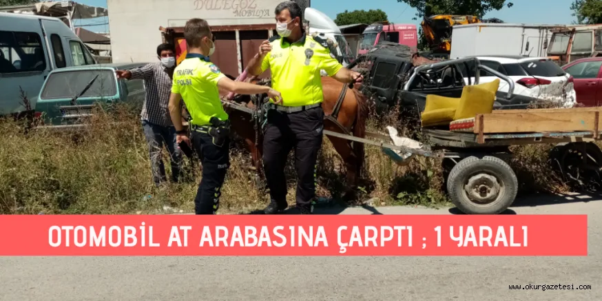 Otomobil at arabasına çarptı; 1 yaralı