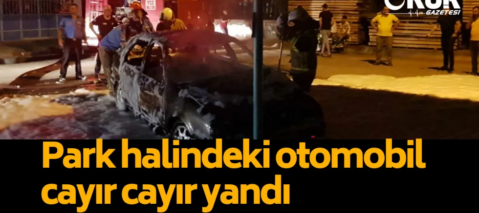 Otomobil cayır cayır yandı