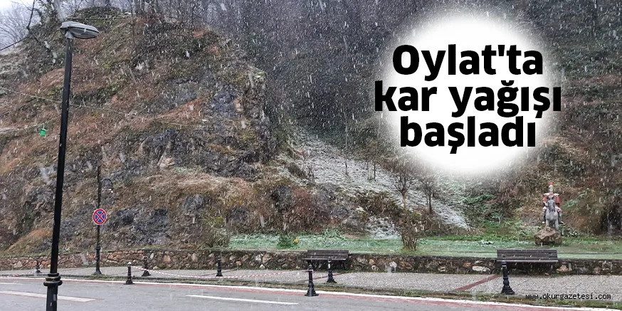 Oylat'ta kar yağışı başladı