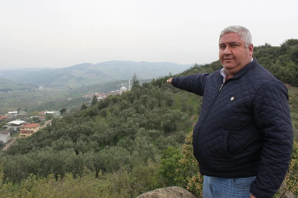 (Özel) Arazilerini Ormana Kaptıran Köylülerden Tapulu Eylem
