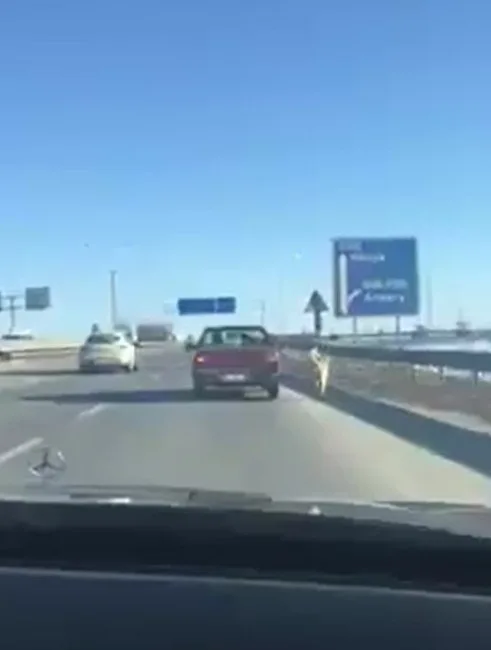 (Özel Haber) Afyonkarahisarda Köpeğe Akıl Almaz İşkence