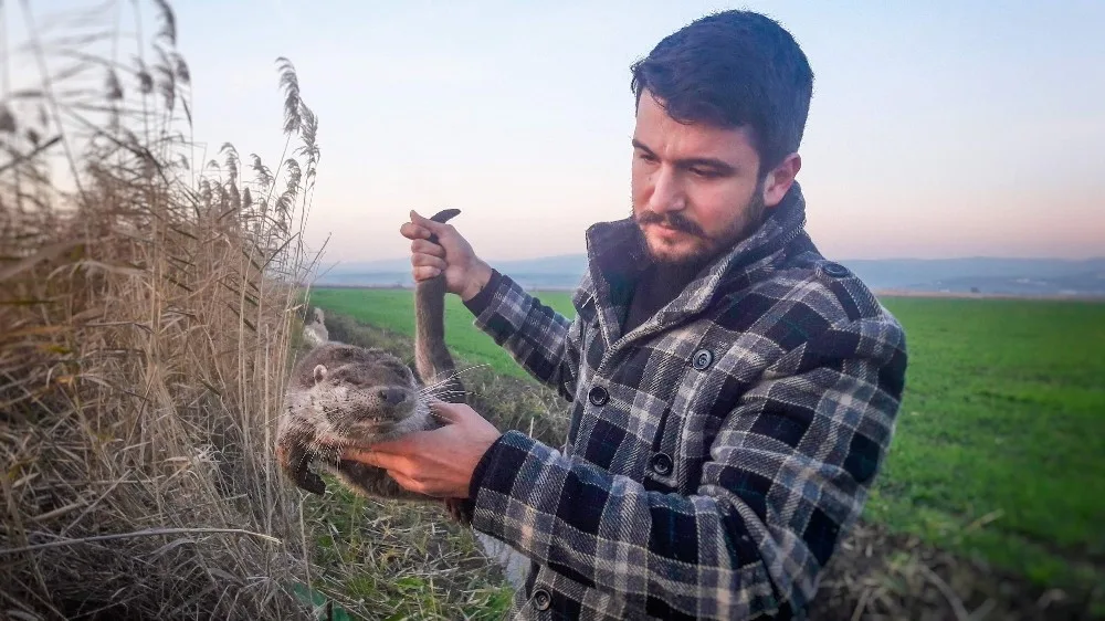 (Özel Haber) Bu Kez Karacabeyde Ortaya Çıktı...