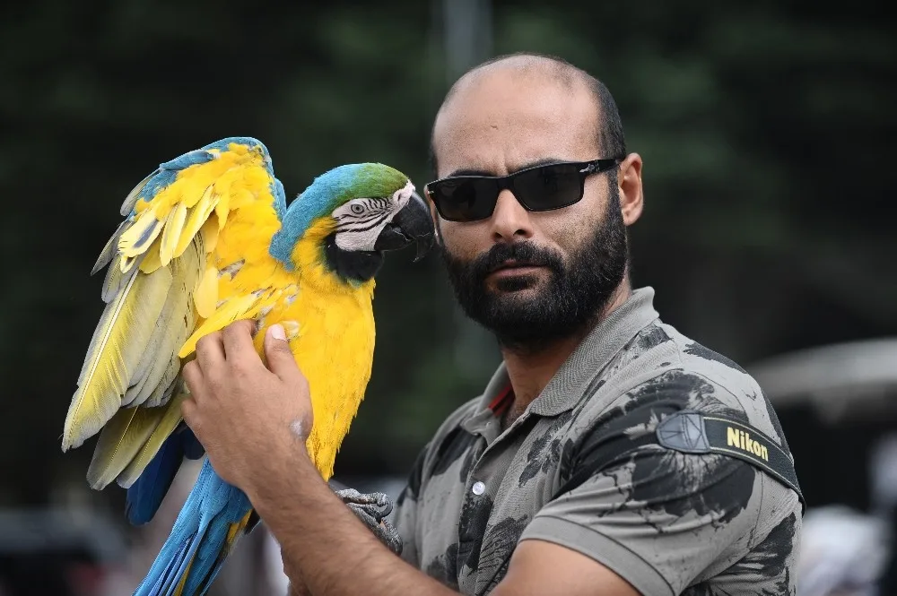 (Özel Haber) Papağanla Fotoğraf Çekilmek İçin Sıraya Girdiler
