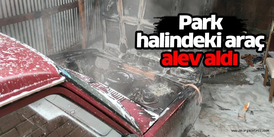 Park halindeki araç alev aldı