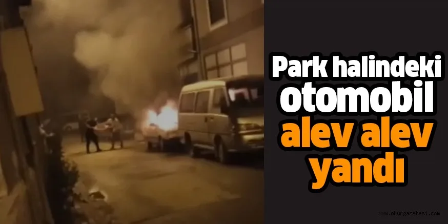 Park halindeki otomobil alev alev yandı