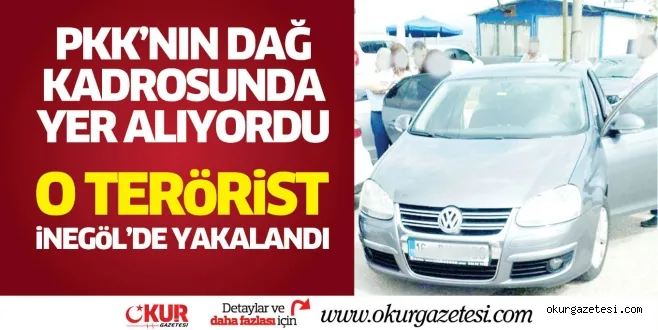 PKK'NIN DAĞ KADROSUNDA YER ALIYORDU O TERöRiST iNEGöL'DE YAKALANDI
