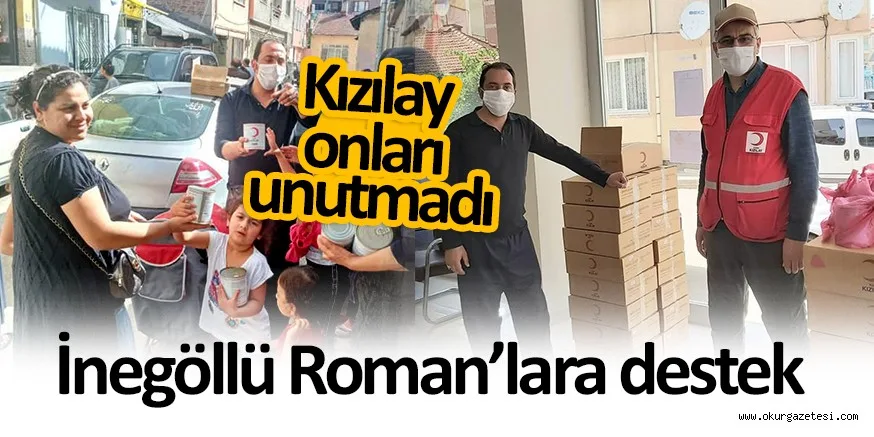 ROMAN VATANDAŞLARA DESTEK