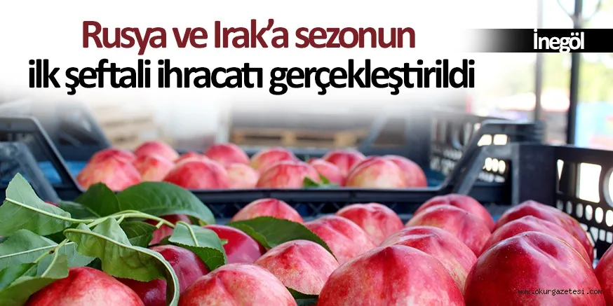 Rusya ve Irak’a sezonun ilk şeftali ihracatı gerçekleştirildi