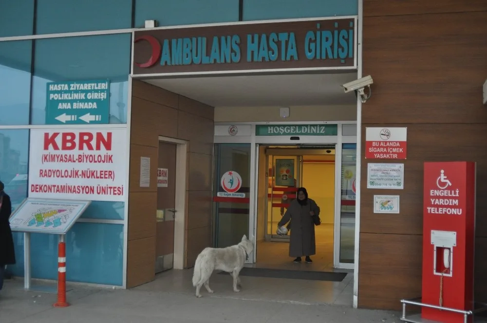 Sadık Köpek Acil Kapısında Sahibini Böyle Bekledi