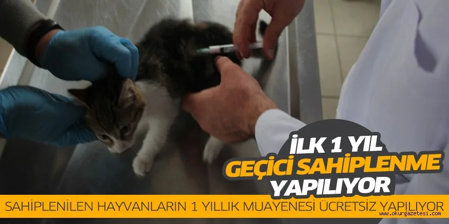 SAHİPLENİLEN HAYVANLARIN 1 YILLIK MUAYENESİ ÜCRETSİZ YAPILIYOR