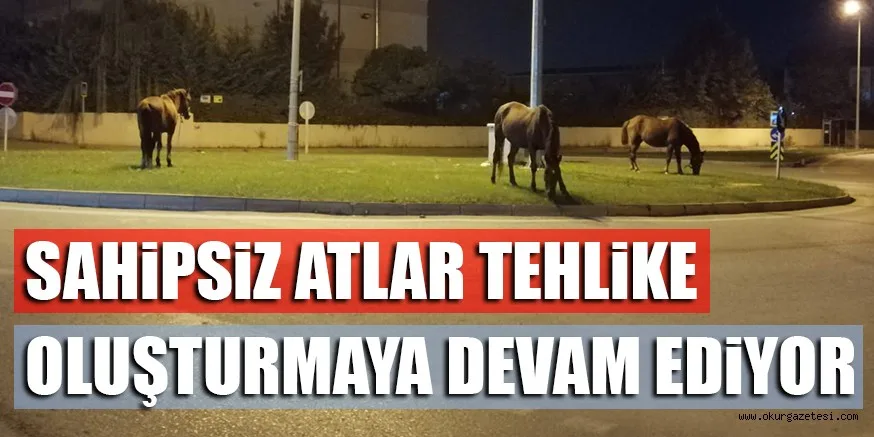 SAHiPSiZ ATLAR TEHLiKE OLUŞTURMAYA DEVAM EDiYOR
