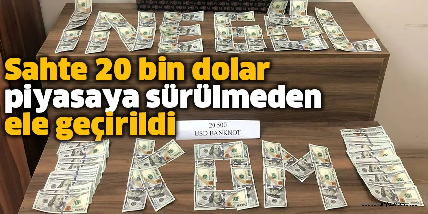 Sahte 20 bin dolar piyasaya sürülmeden ele geçirildi