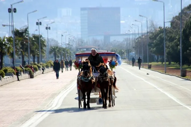Samsunda Yalancı Bahar