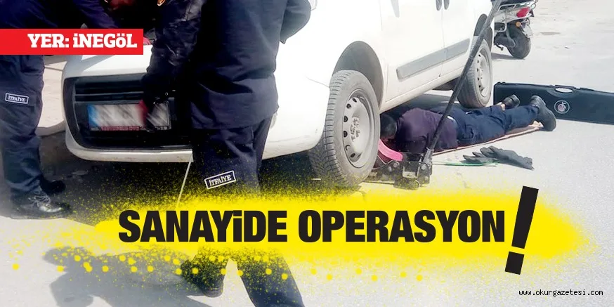 SANAYi'DE YAVRU KEDi OPERASYON