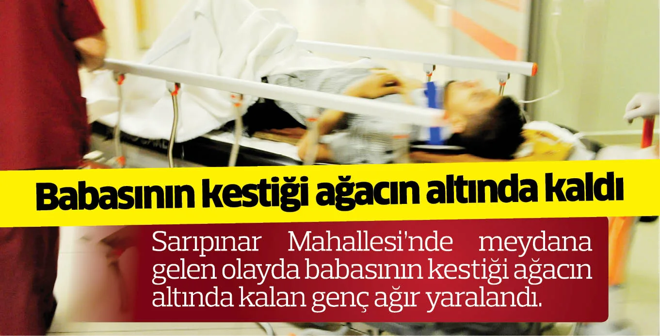 Babasının kestiği ağacın altında kaldı