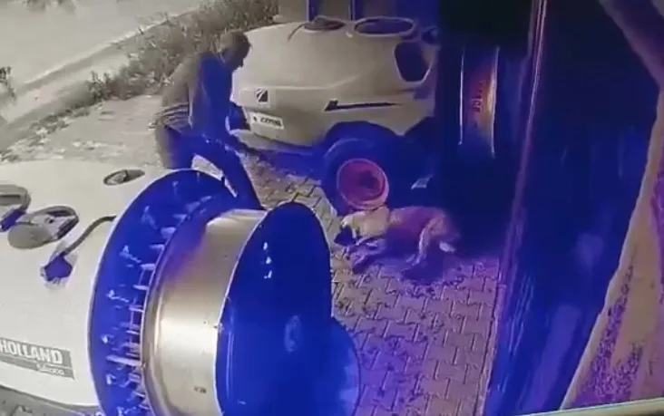 Sopayla köpeĞE İŞKENCE