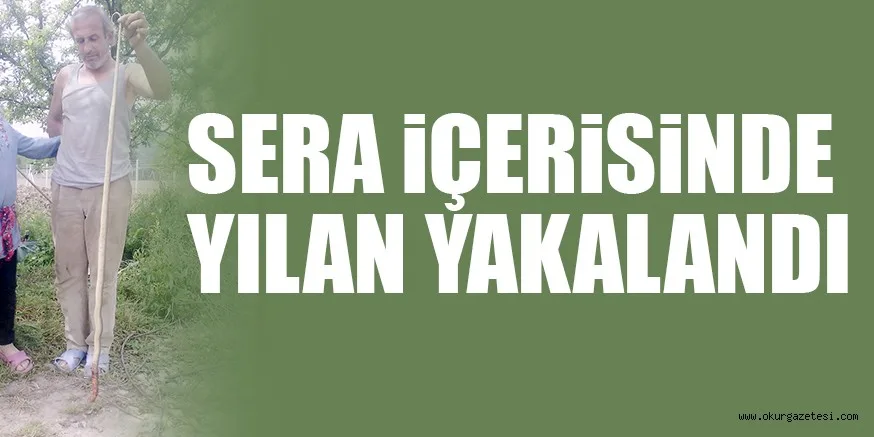 SERA iÇERiSiNDE YILAN YAKALANDI
