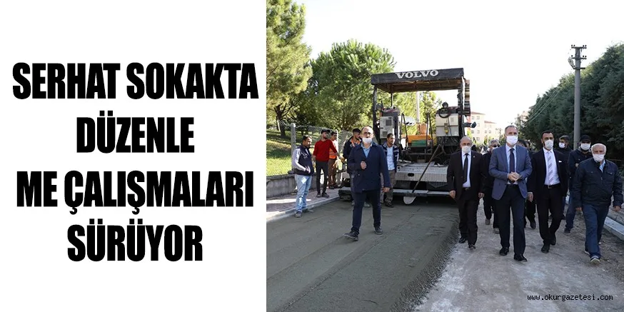 SERHAT SOKAKTA DÜZENLEME ÇALIŞMALARI SÜRÜYOR