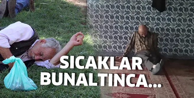 Ya camideler ya da gölgeliklerde