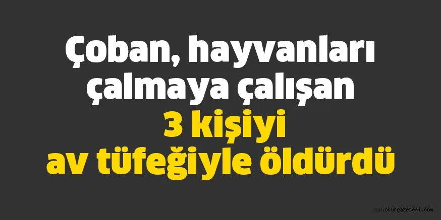 Sivas'ta bir çoban 3 kişiyi av tüfeğiyle öldürdü