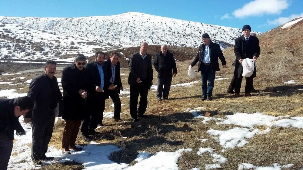 Sivasta Doğaya Yaban Hayvanları İçin Yem Bırakıldı