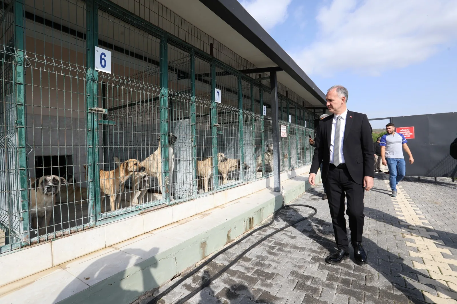 Sokak hayvanları için yeni adımlar atılıyor