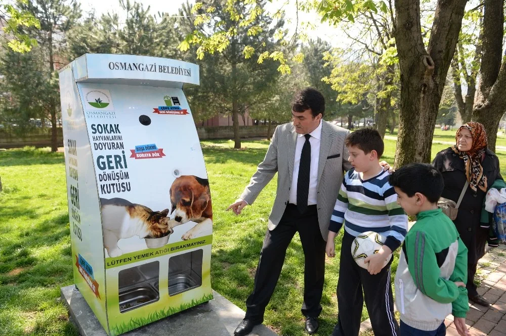 Sokak Hayvanları Geri Dönüşüm İle Beslendi