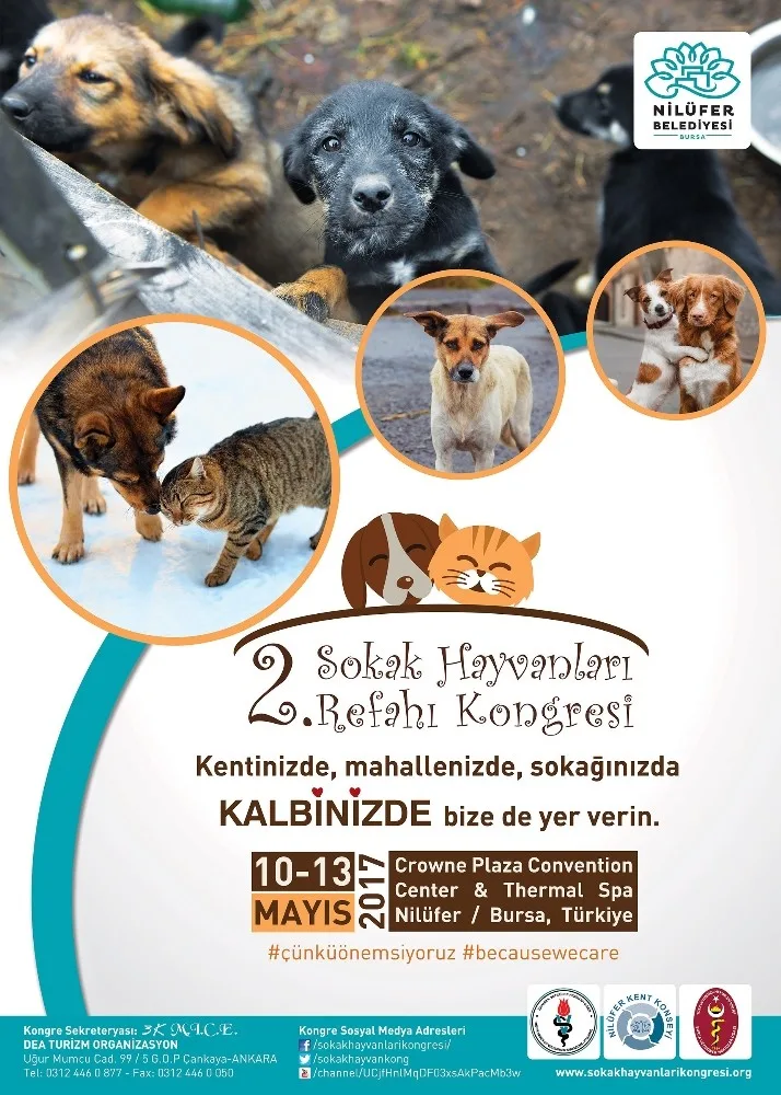 Sokak Hayvanları Refahı Kongresi Nilüferde Yapılacak
