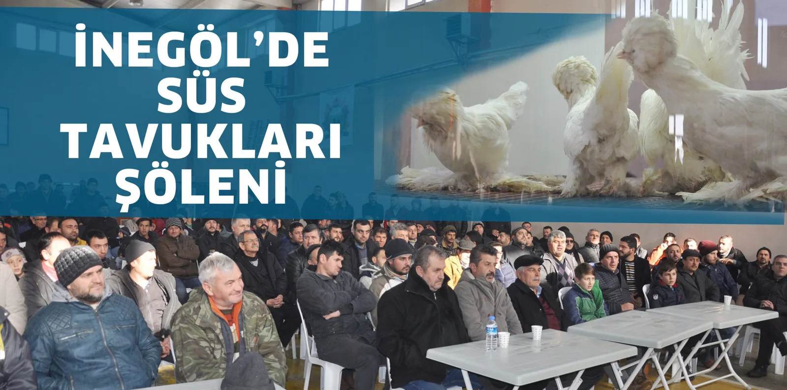 İNEGÖL’DE SÜS TAVUKLARI ŞÖLENİ