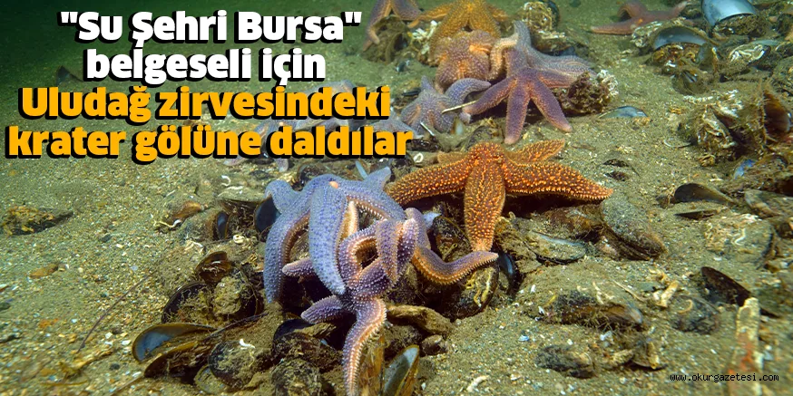 "Su Şehri Bursa" belgeseli için Uludağ zirvesindeki krater gölüne daldılar